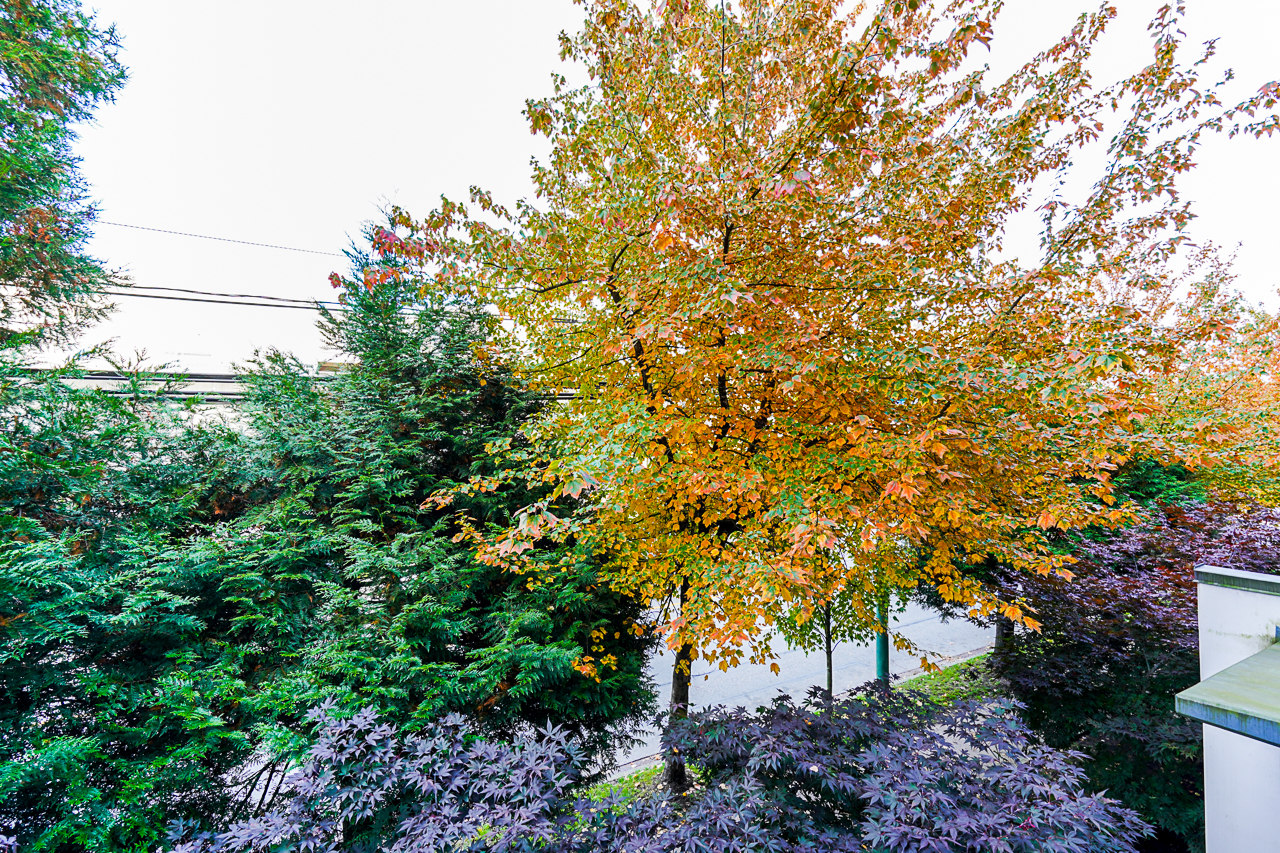 203 - 3456 Commercial St 37